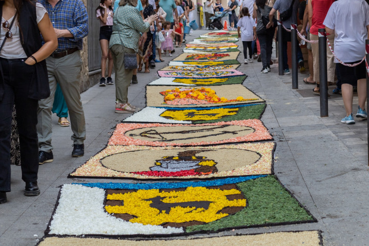 Catifes de Flors d'Arbúcies