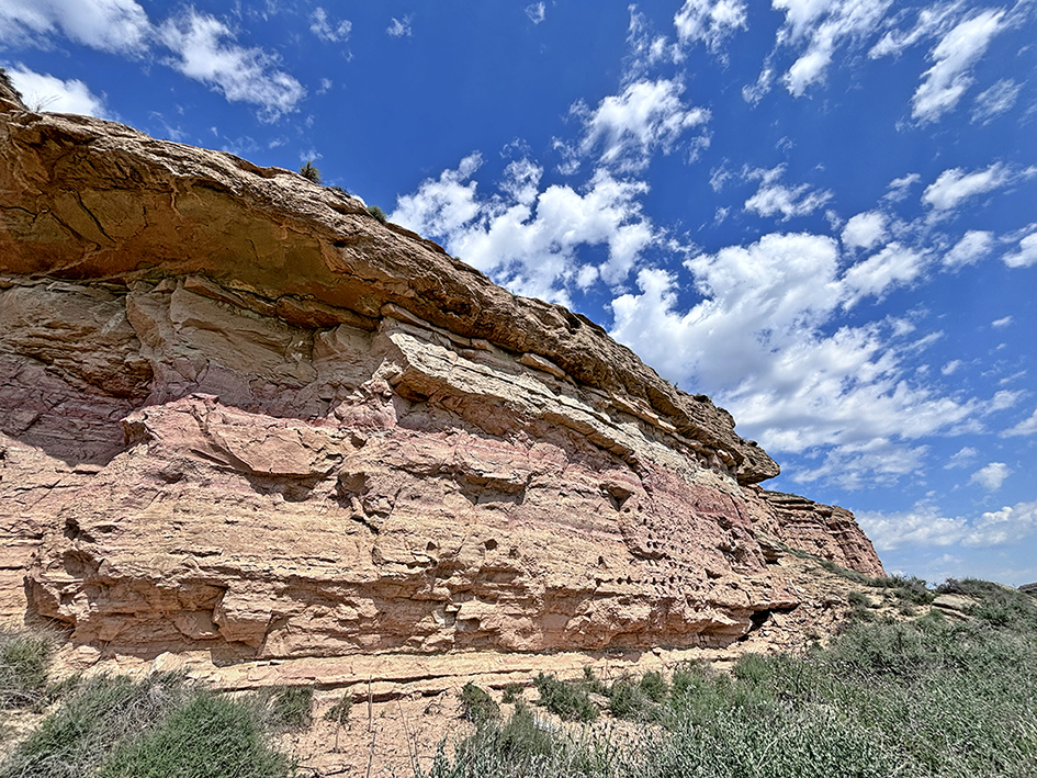 Farmàcia dels Moros a Soses