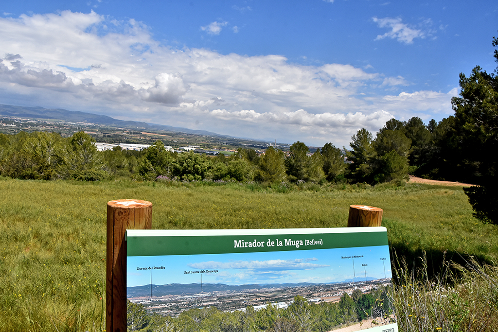 Mirador de la Muga o del Baix Penedès a Bellvei ***