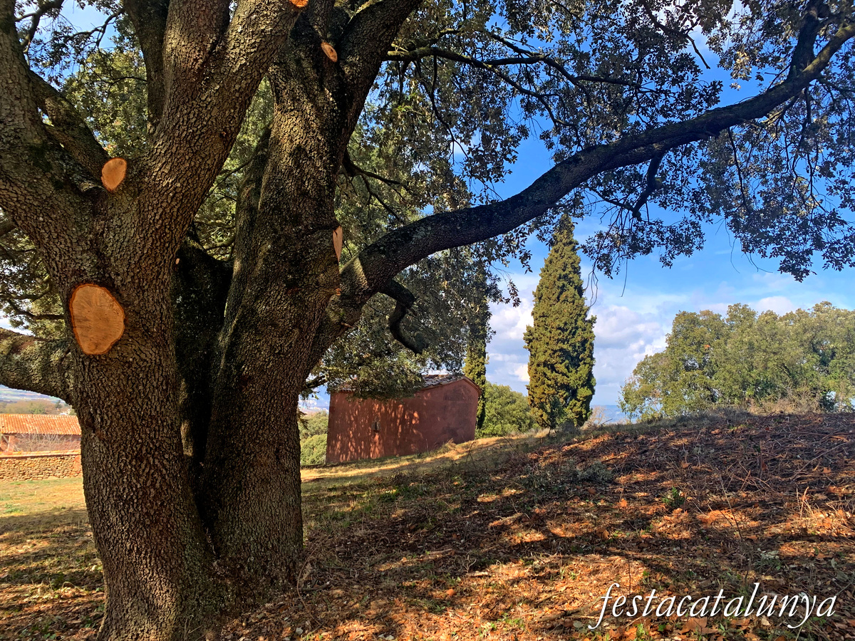 Seva - Capella de Sant Joan del mas Figueroles 