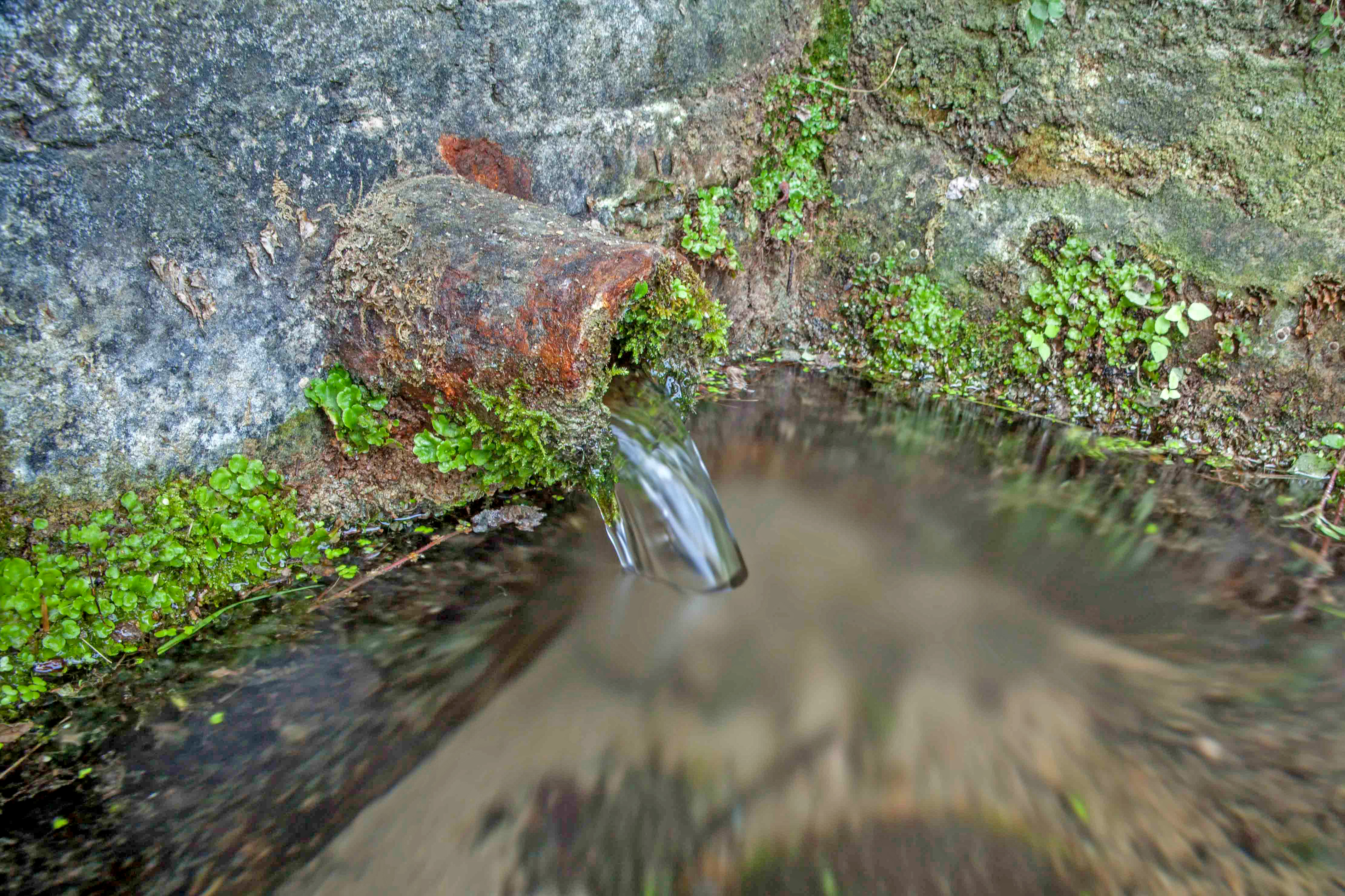 Seva - Font de la Clavella (Foto: Ajuntament de Seva)