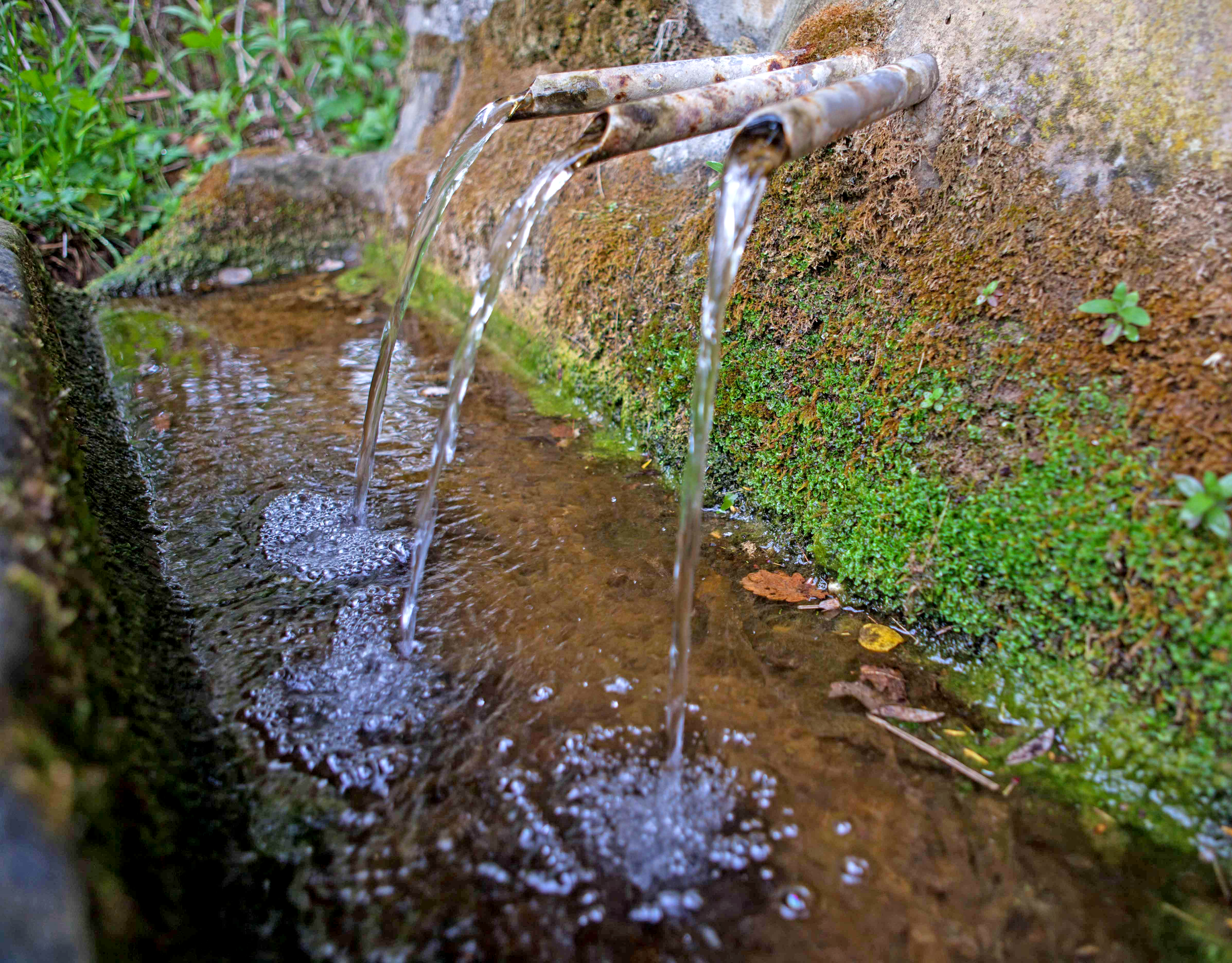 Seva - Font de la Serra (Foto: Ajuntament de Seva) 