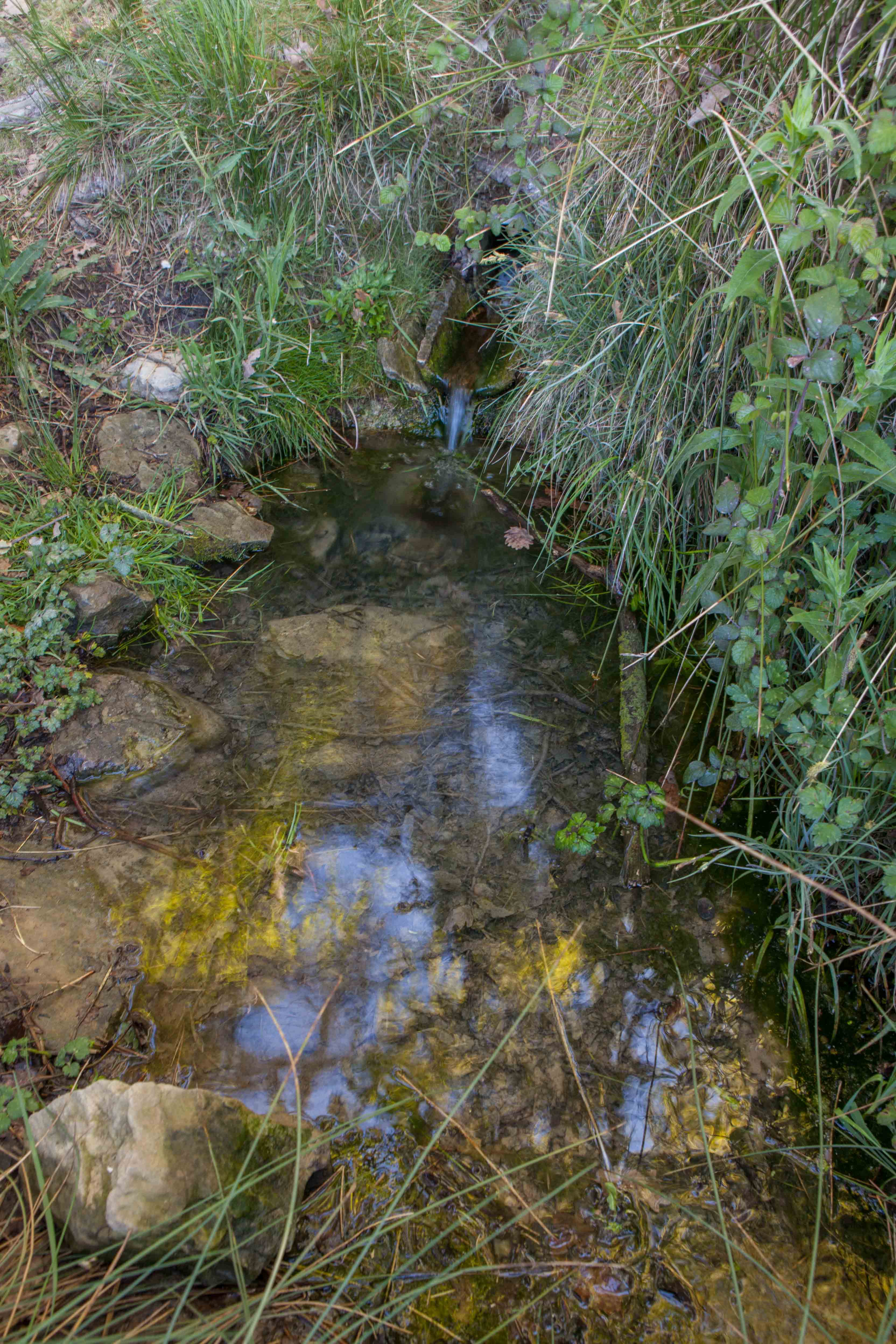 Seva - Font de Llobarteres o de la Teula (Foto: Ajuntament de Seva) 