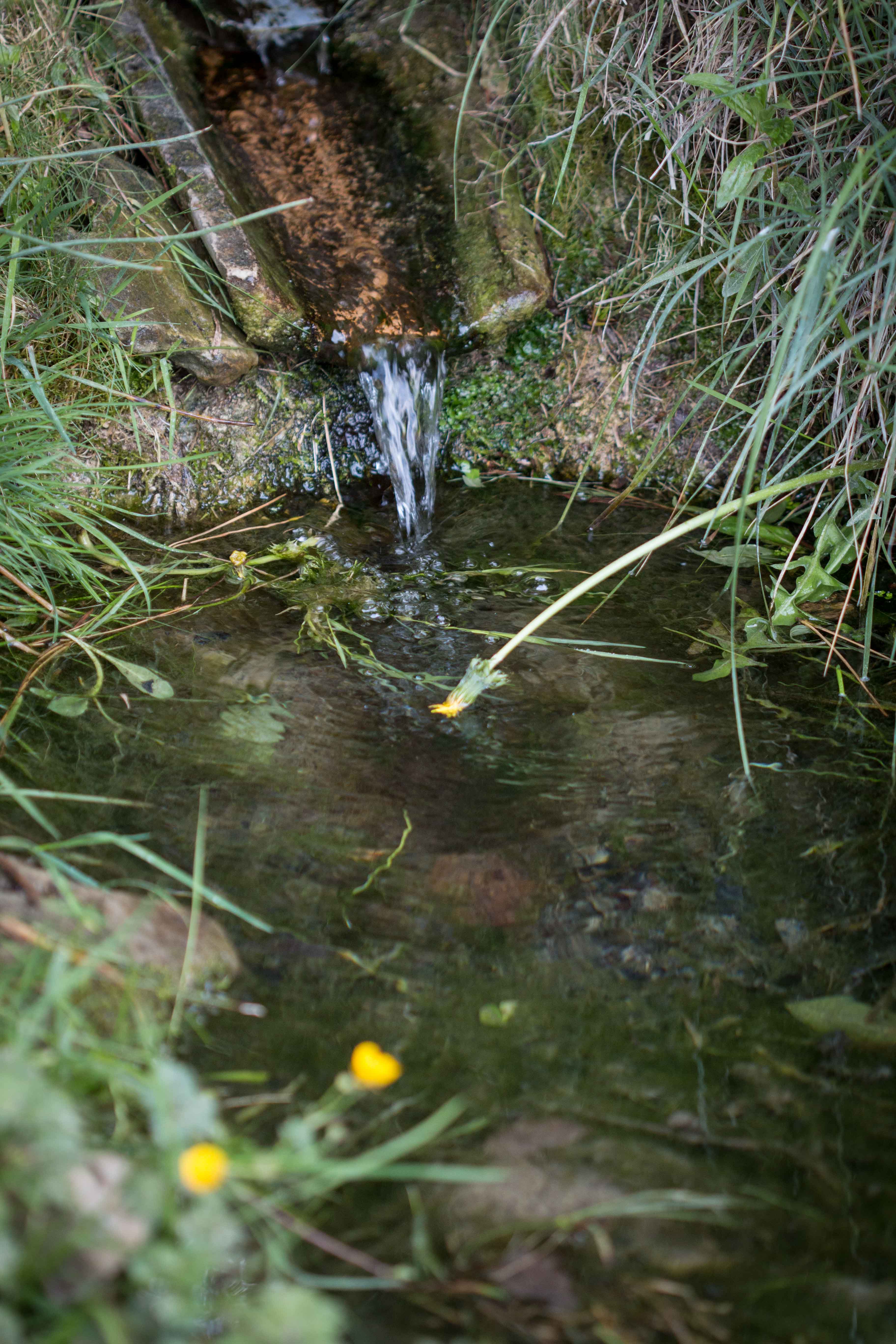 Seva - Font de Llobarteres o de la Teula (Foto: Ajuntament de Seva) 