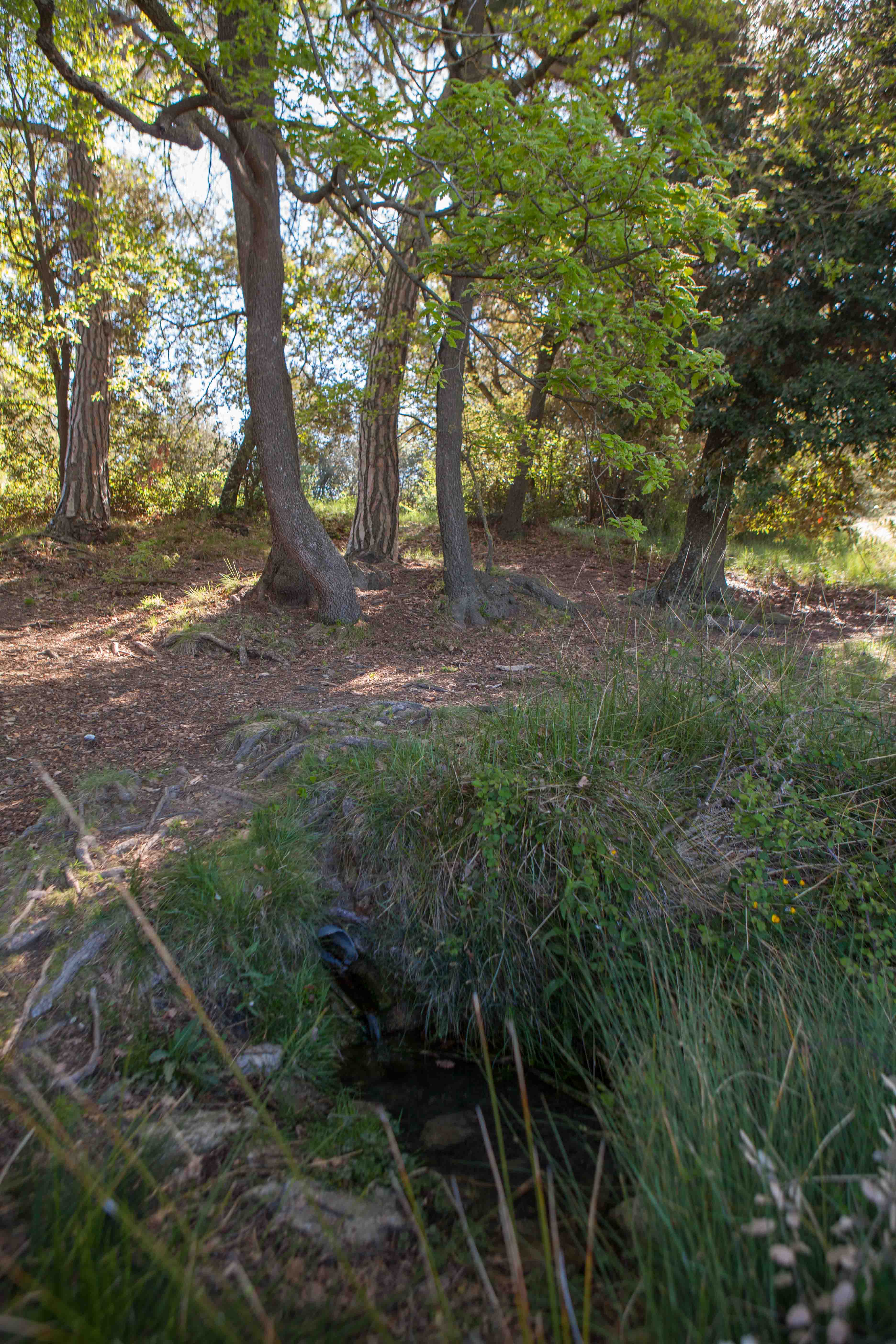 Seva - Font de Llobarteres o de la Teula (Foto: Ajuntament de Seva) 