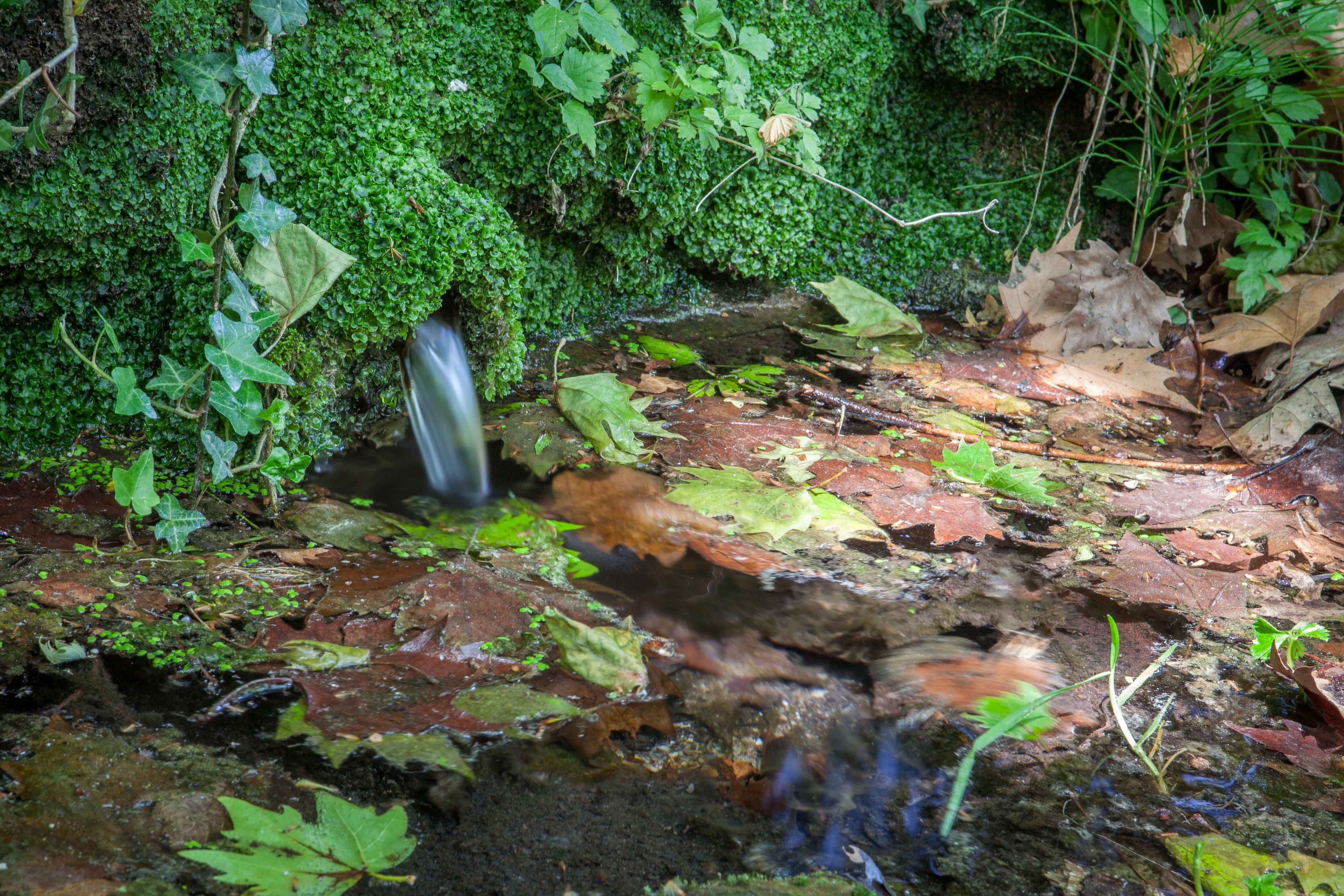 Seva - Font de Montmany (Foto: Ajuntament de Seva)