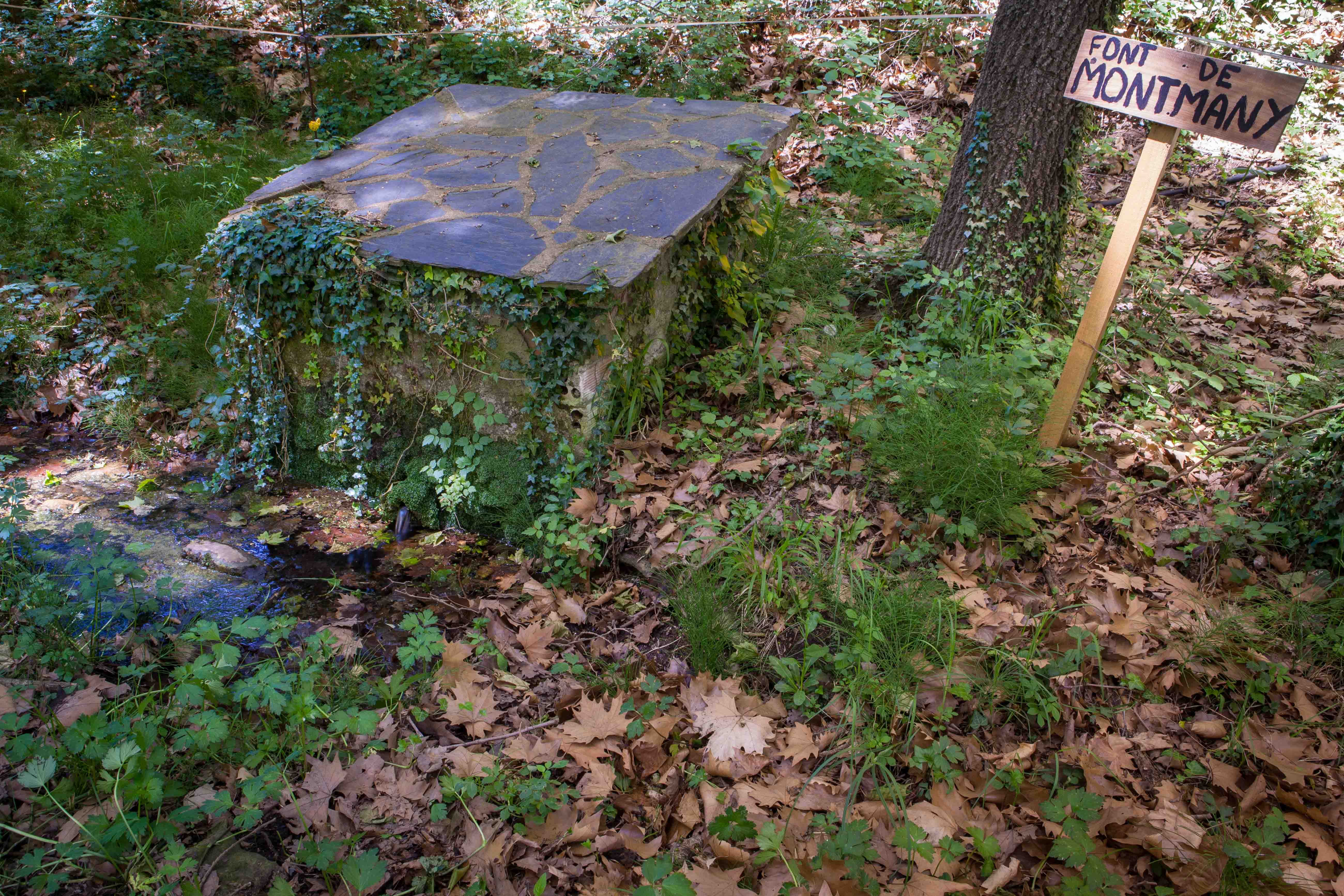 Seva - Font de Montmany (Foto: Ajuntament de Seva)