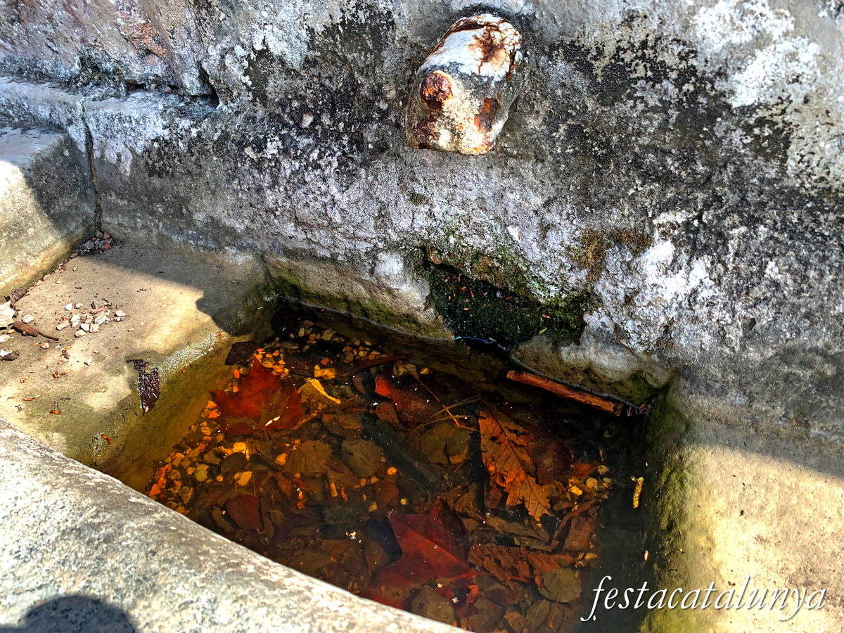 Seva - Font dels Sors 