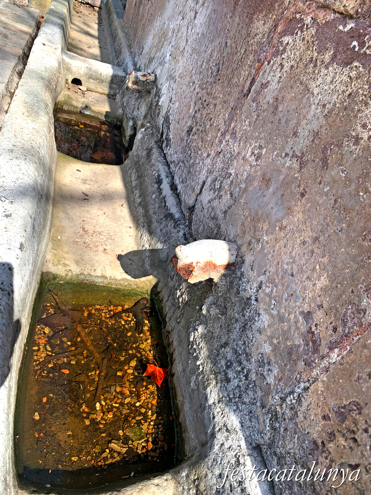 Seva - Font dels Sors