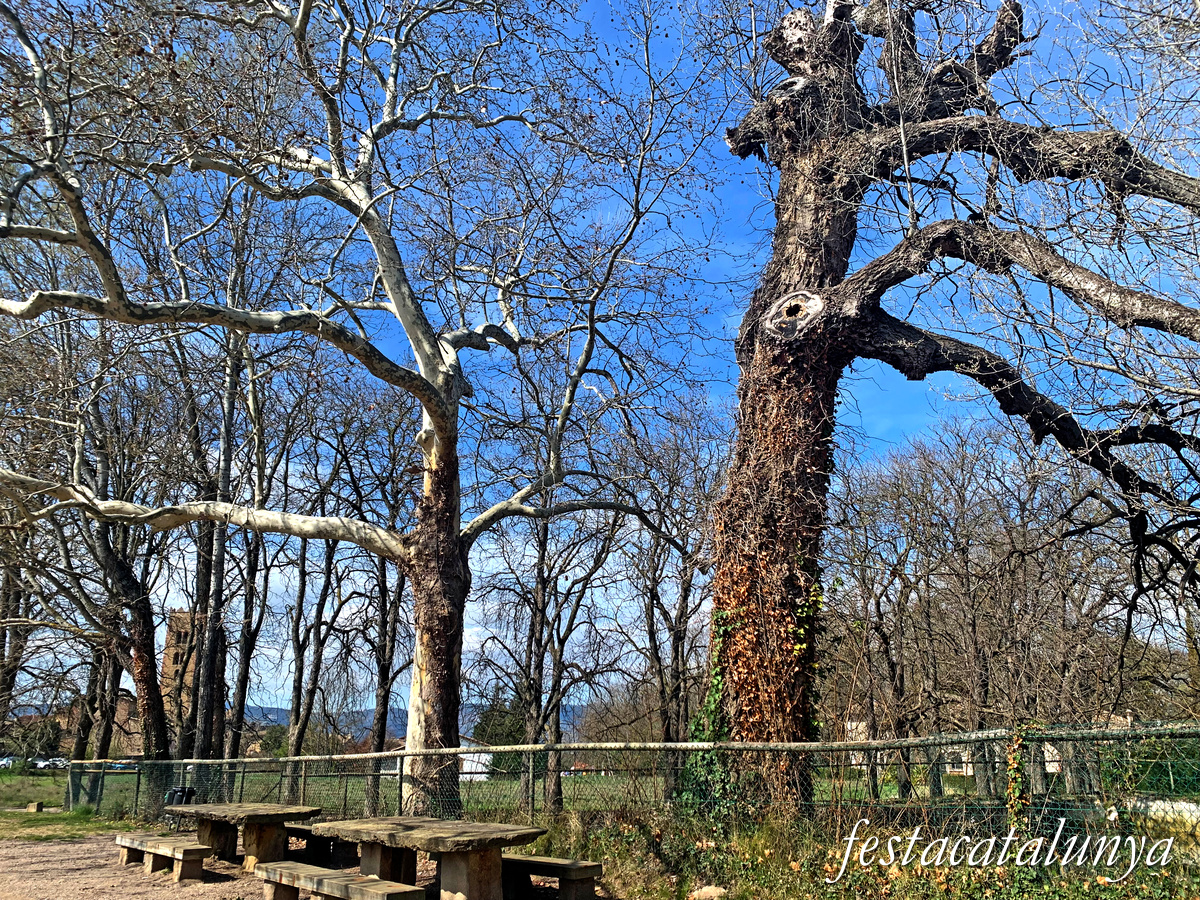 Seva - Font dels Sors 