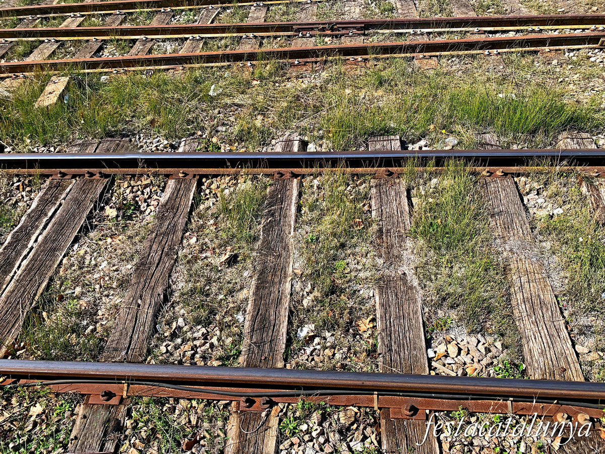 Seva - Estació a Sant Miquel de Balenyà 