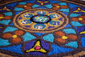 Catifes de Flors a Maçanet de Cabrenys