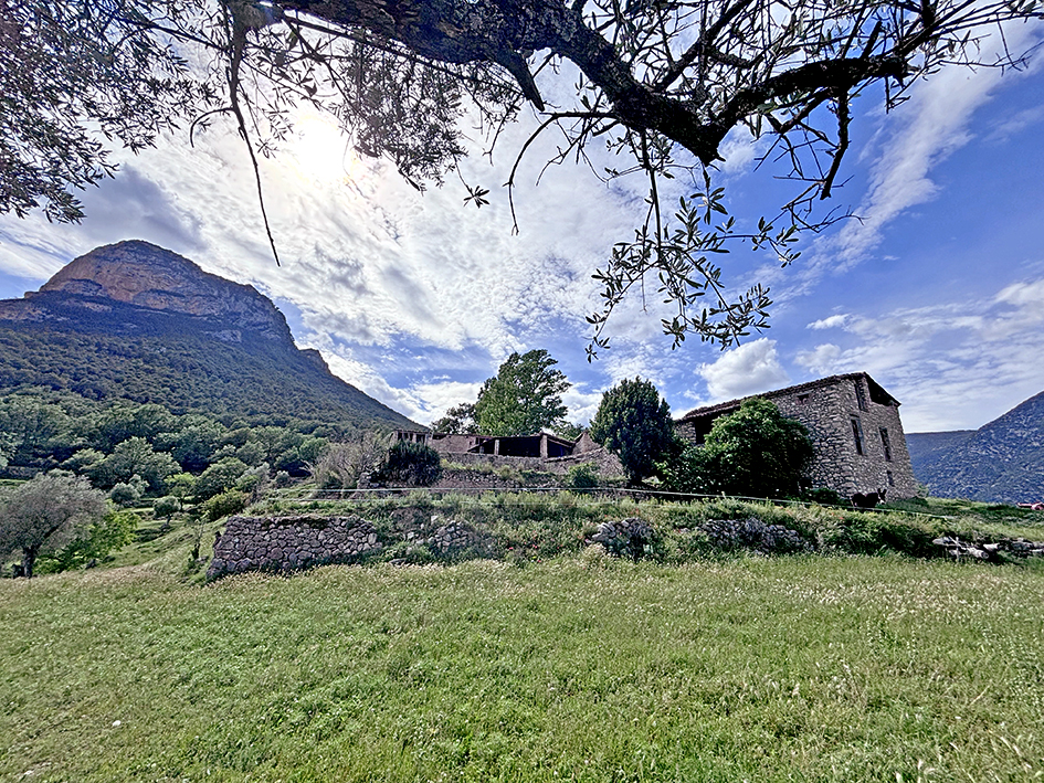 Ermita de Sant Martí de Caselles d'Organyà
