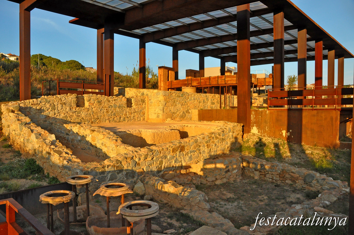 Visites guiades al Centre Enoturístic i Arqueològic de Vallmora a Teià
