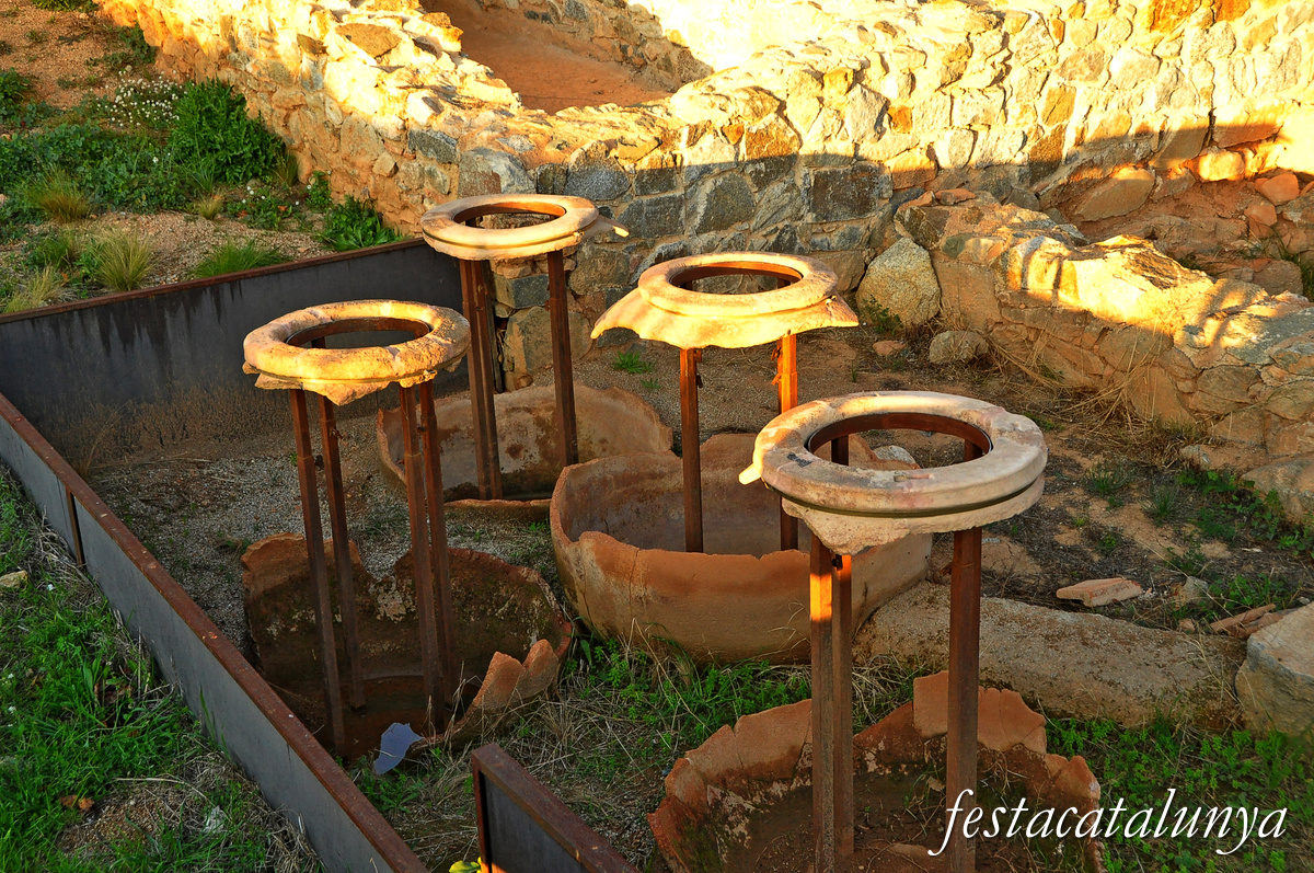 Visites guiades al Centre Enoturístic i Arqueològic de Vallmora a Teià