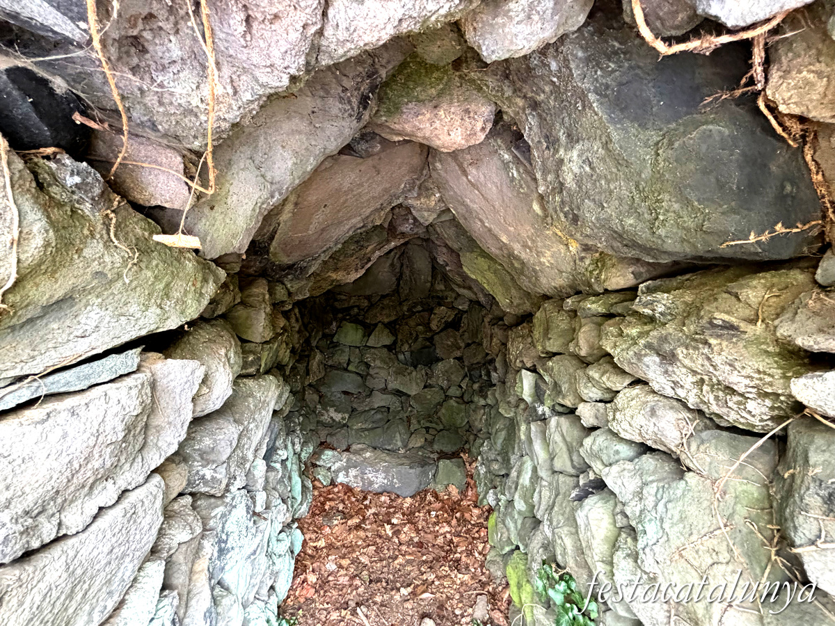 Les Preses - Parc de la pedra tosca