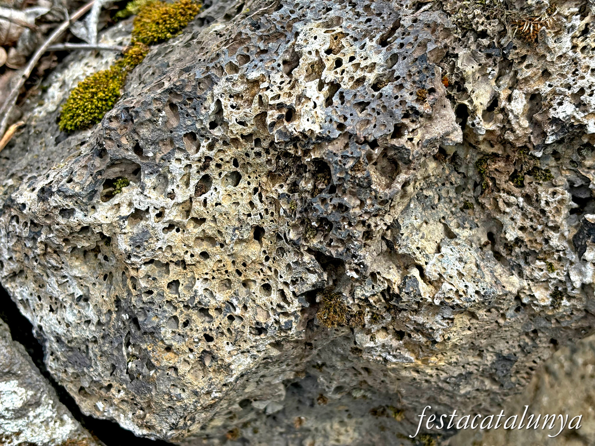 Les Preses - Parc de la pedra tosca