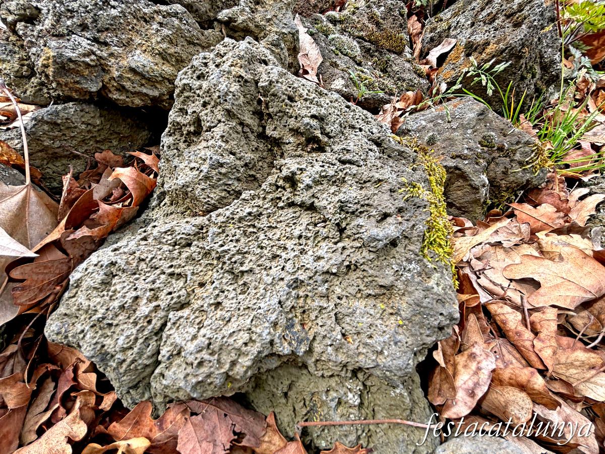 Les Preses - Parc de la pedra tosca