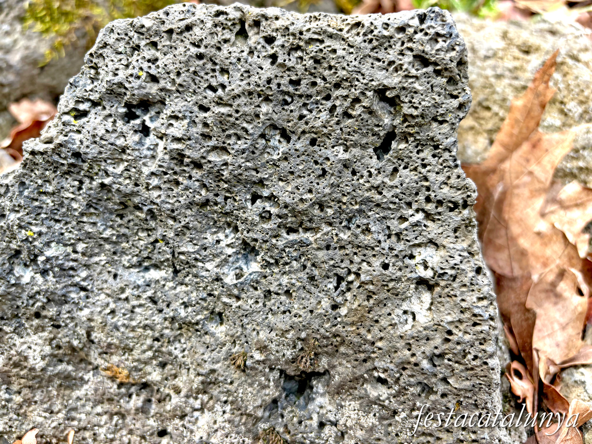 Les Preses - Parc de la pedra tosca