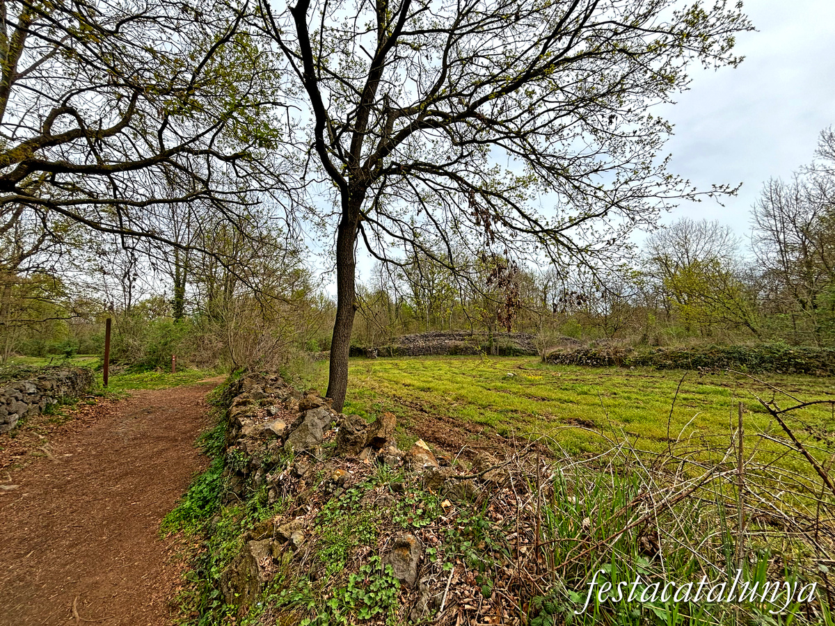 Les Preses - Parc de la pedra tosca