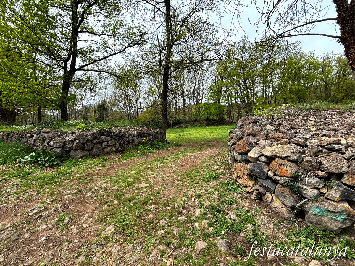 Les Preses - Parc de la pedra tosca