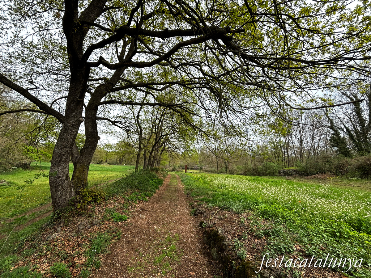 Les Preses - Parc de la pedra tosca