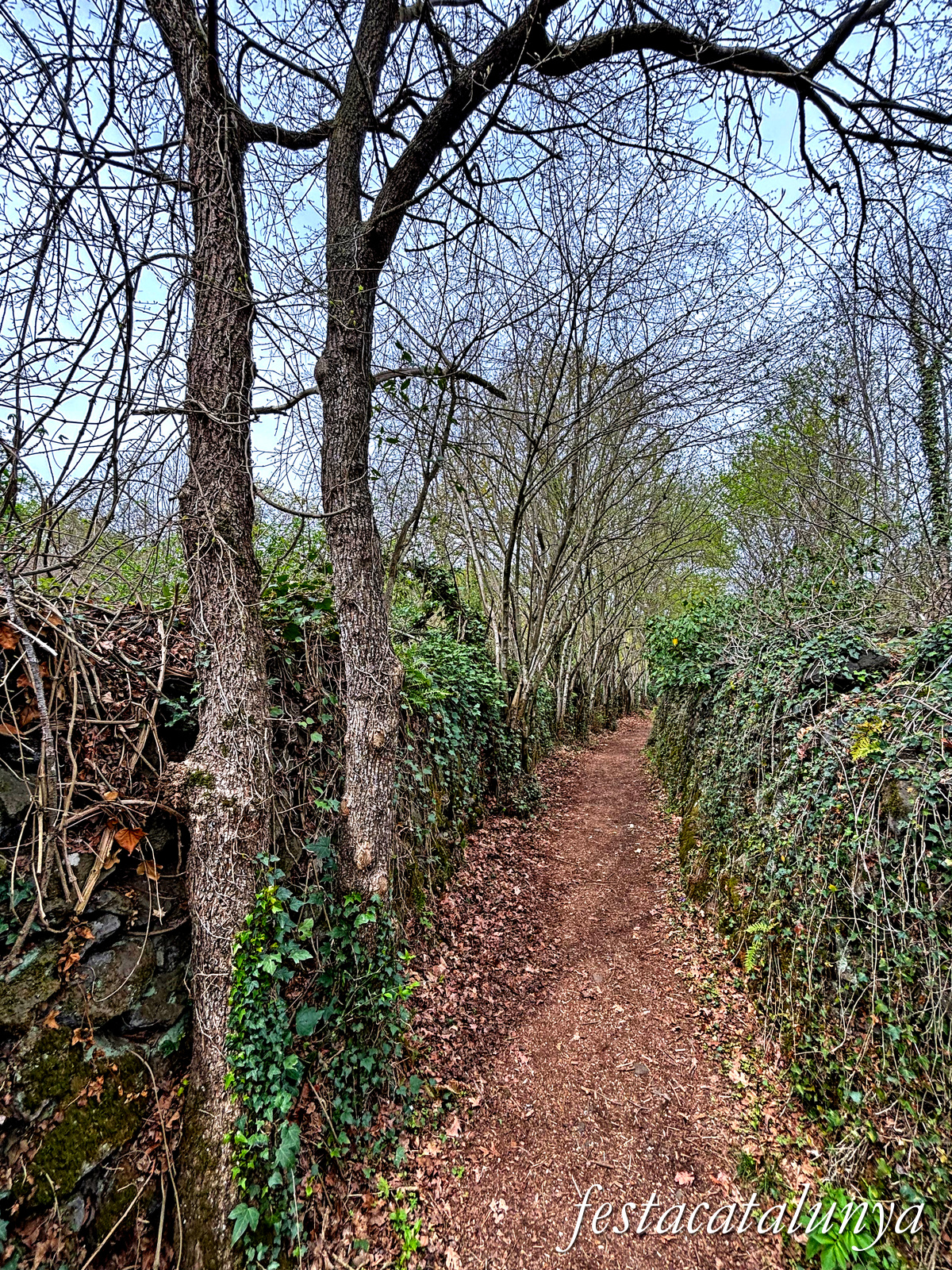 Les Preses - Parc de la pedra tosca