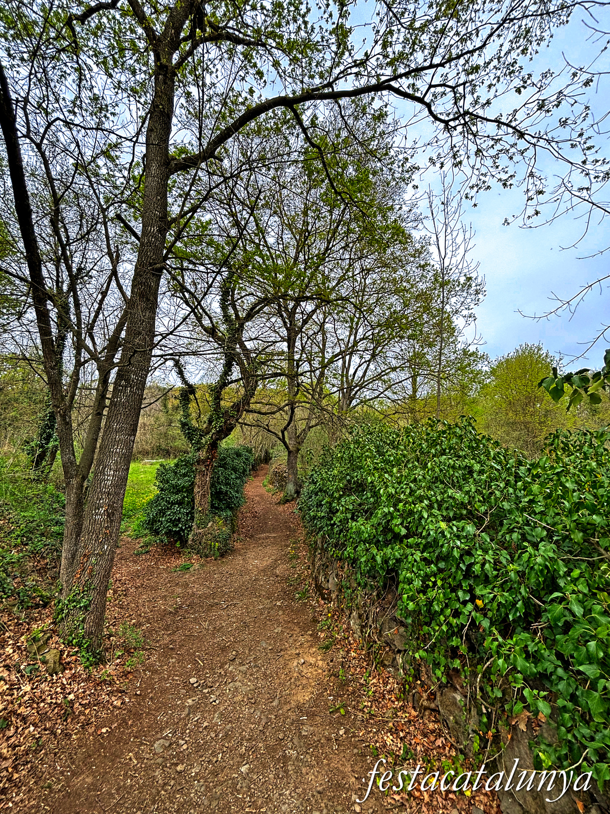 Les Preses - Parc de la pedra tosca