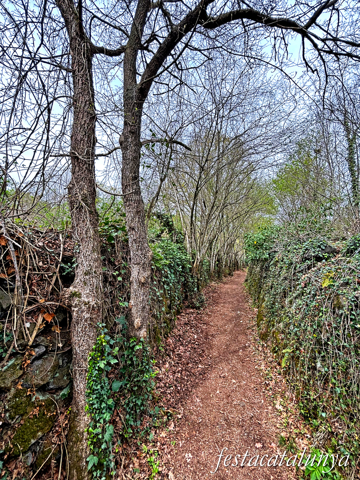 Les Preses - Parc de la pedra tosca 