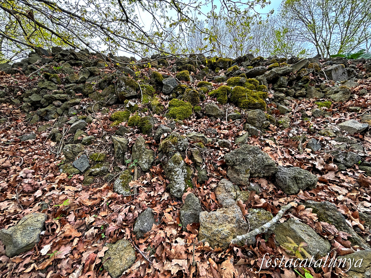 Les Preses - Parc de la pedra tosca