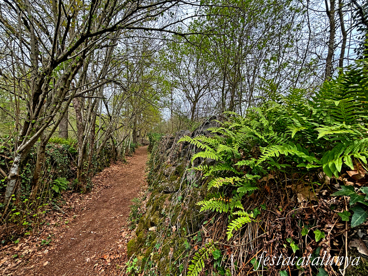 Les Preses - Parc de la pedra tosca 