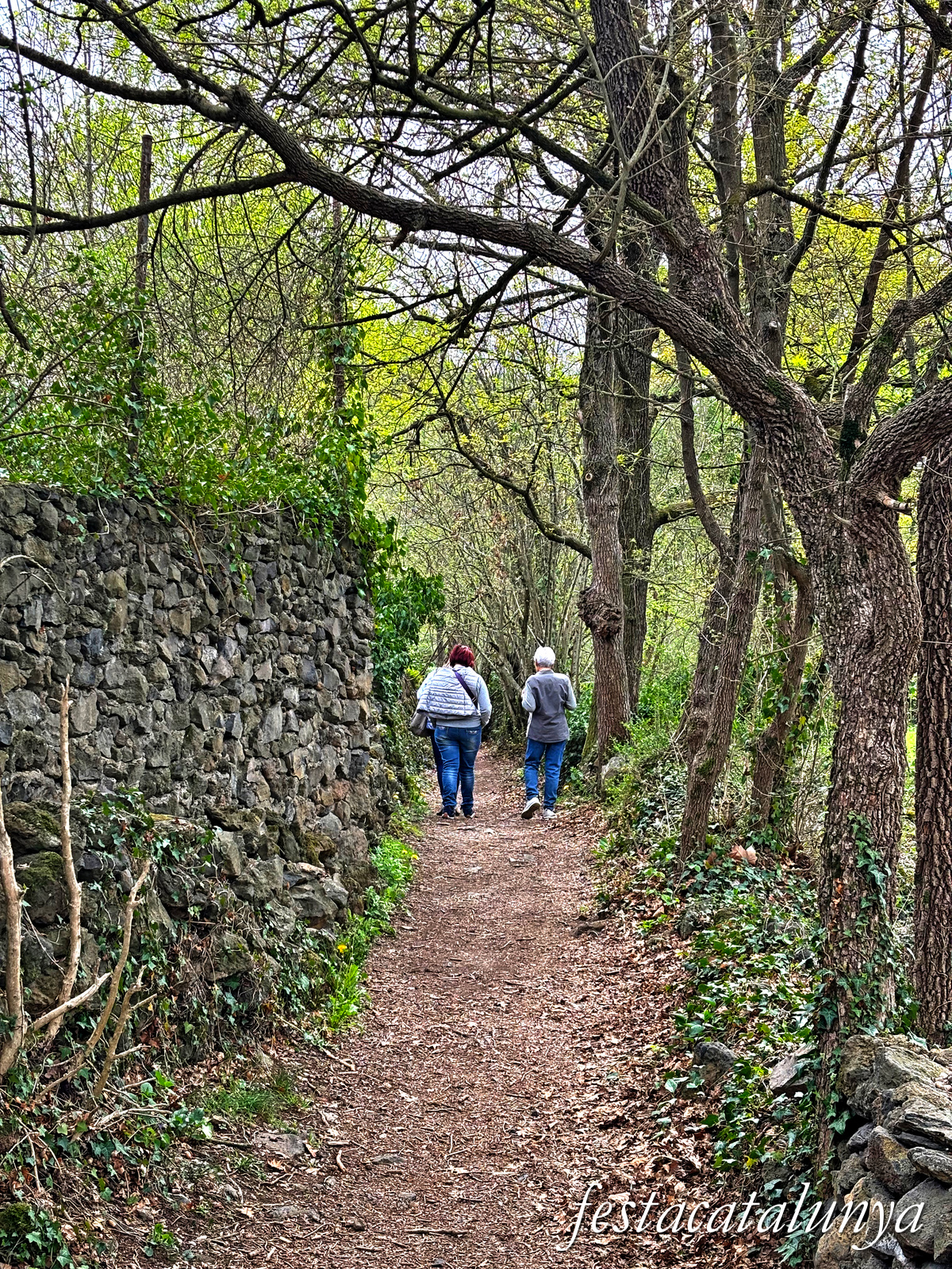 Les Preses - Parc de la pedra tosca