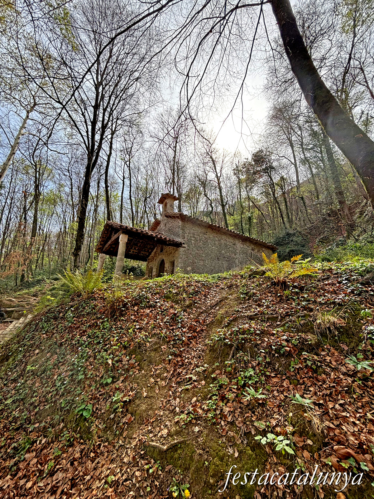 Les Preses - Sant Martí del Corb