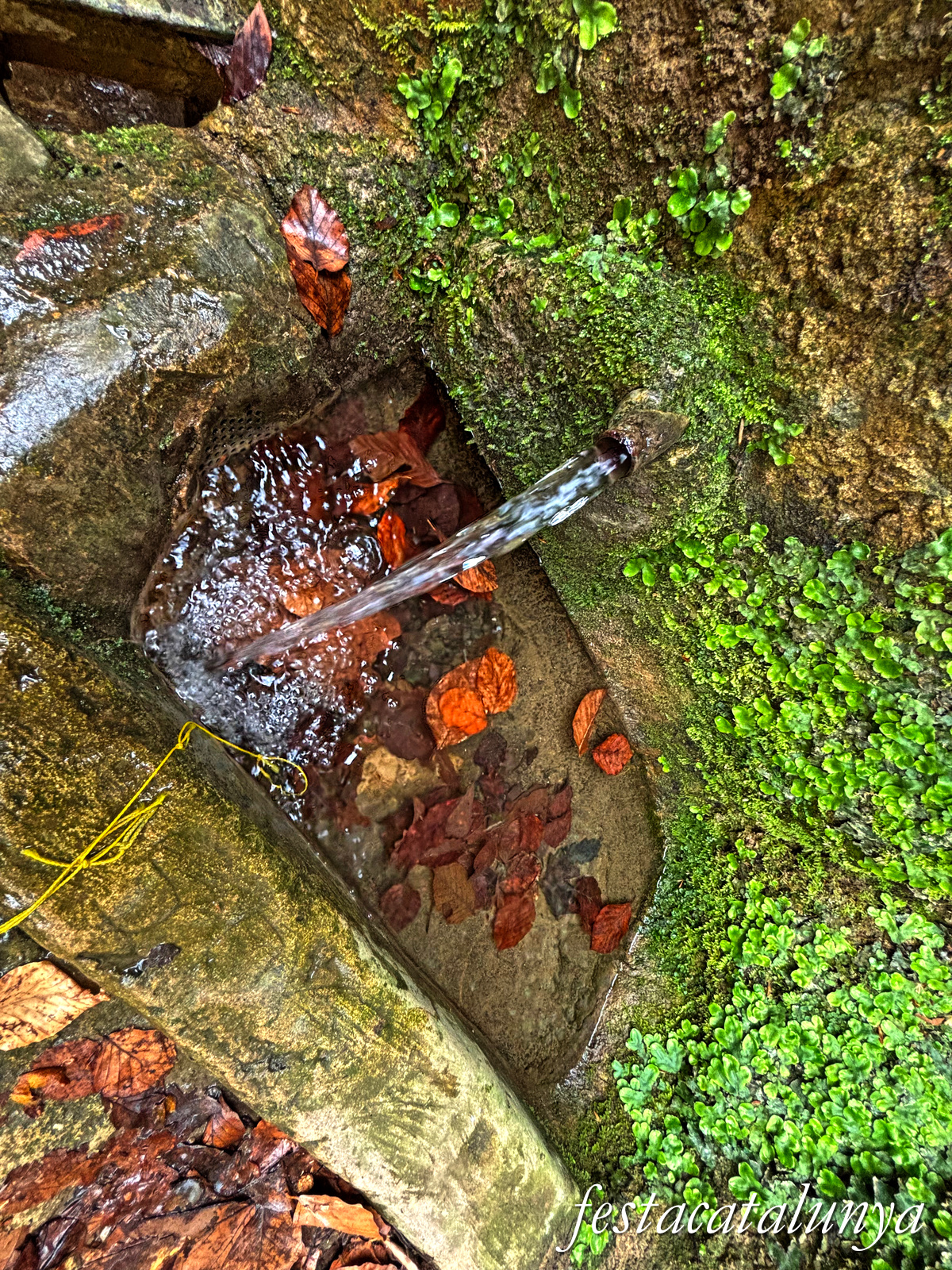 Les Preses - Sant Martí del Corb
