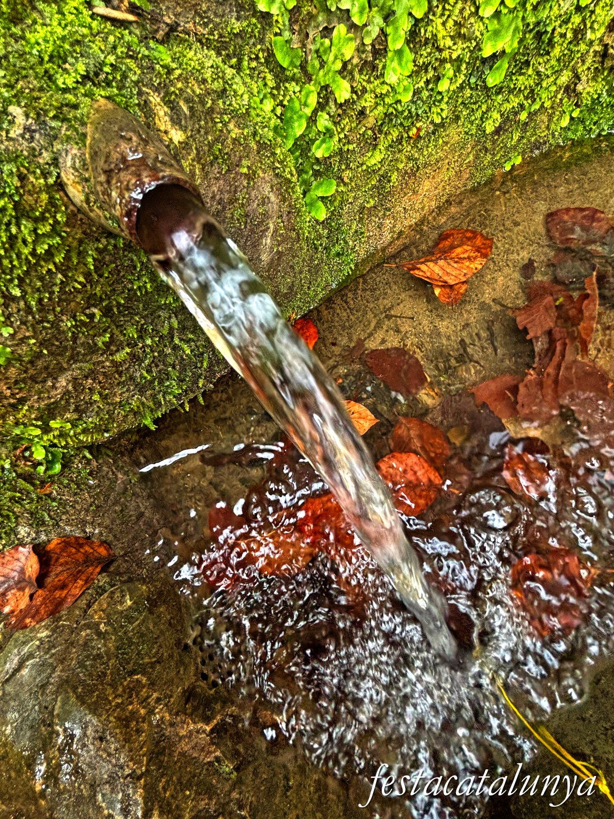 Les Preses - Sant Martí del Corb