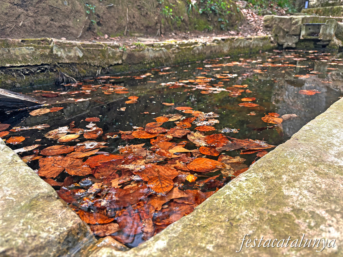 Les Preses - Sant Martí del Corb