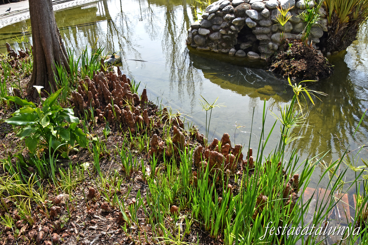 Mollet del Vallès - Parc de la Plana Lledó