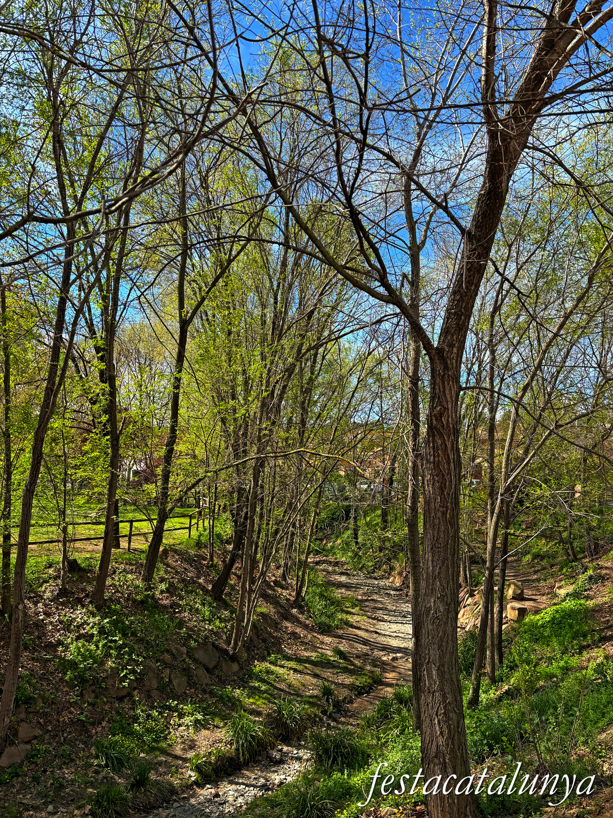 Sant Antoni de Vilamajor - Parc de can Sauleda
