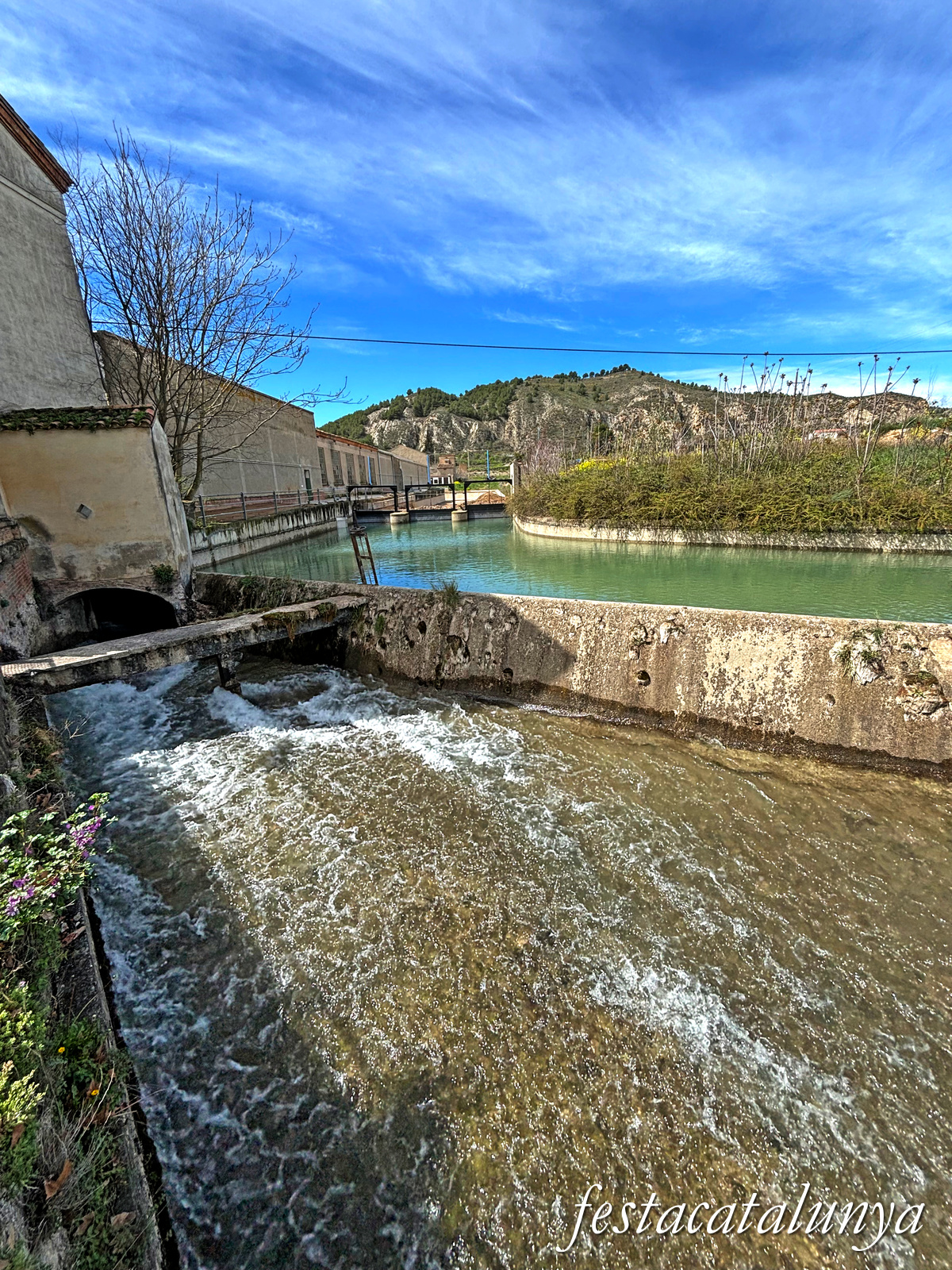 Alfarràs - Canal de Pinyana