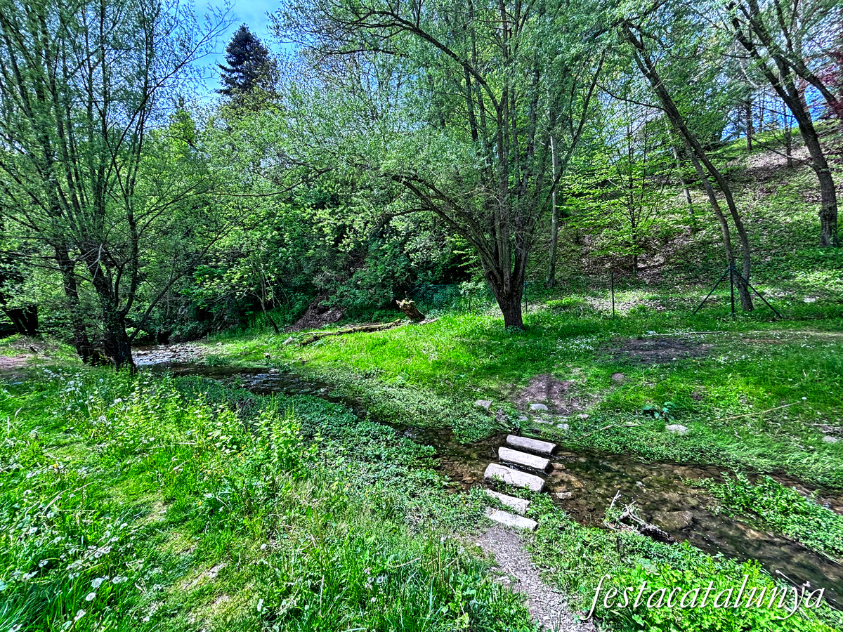 Sant Joan de les Abadesses - Jardins de la Puda, Font d'en Roca i antics safareigs