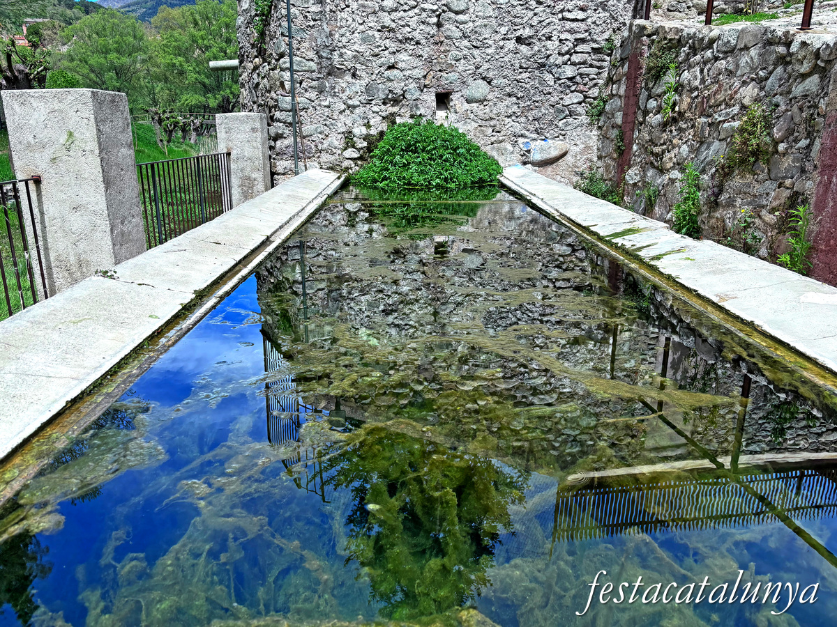 Sant Joan de les Abadesses - Jardins de la Puda, Font d'en Roca i antics safareigs