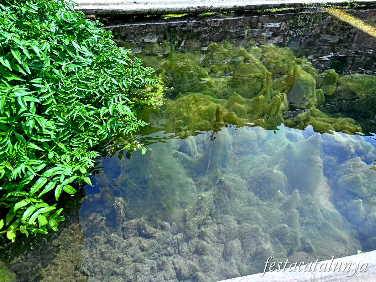 Sant Joan de les Abadesses - Jardins de la Puda, Font d'en Roca i antics safareigs