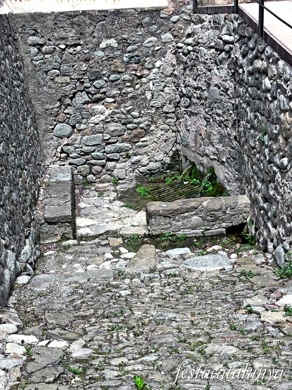 Sant Joan de les Abadesses - Jardins de la Puda, Font d'en Roca i antics safareigs