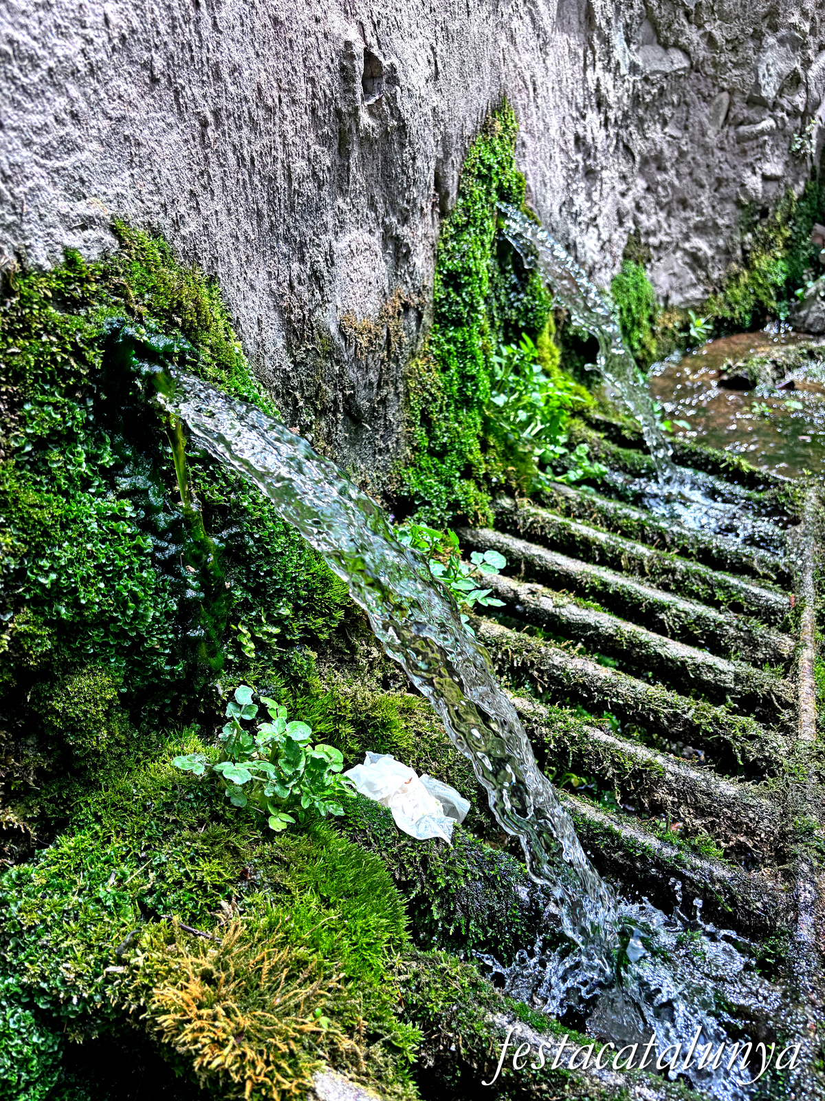 Sant Joan de les Abadesses - Jardins de la Puda, Font d'en Roca i antics safareigs