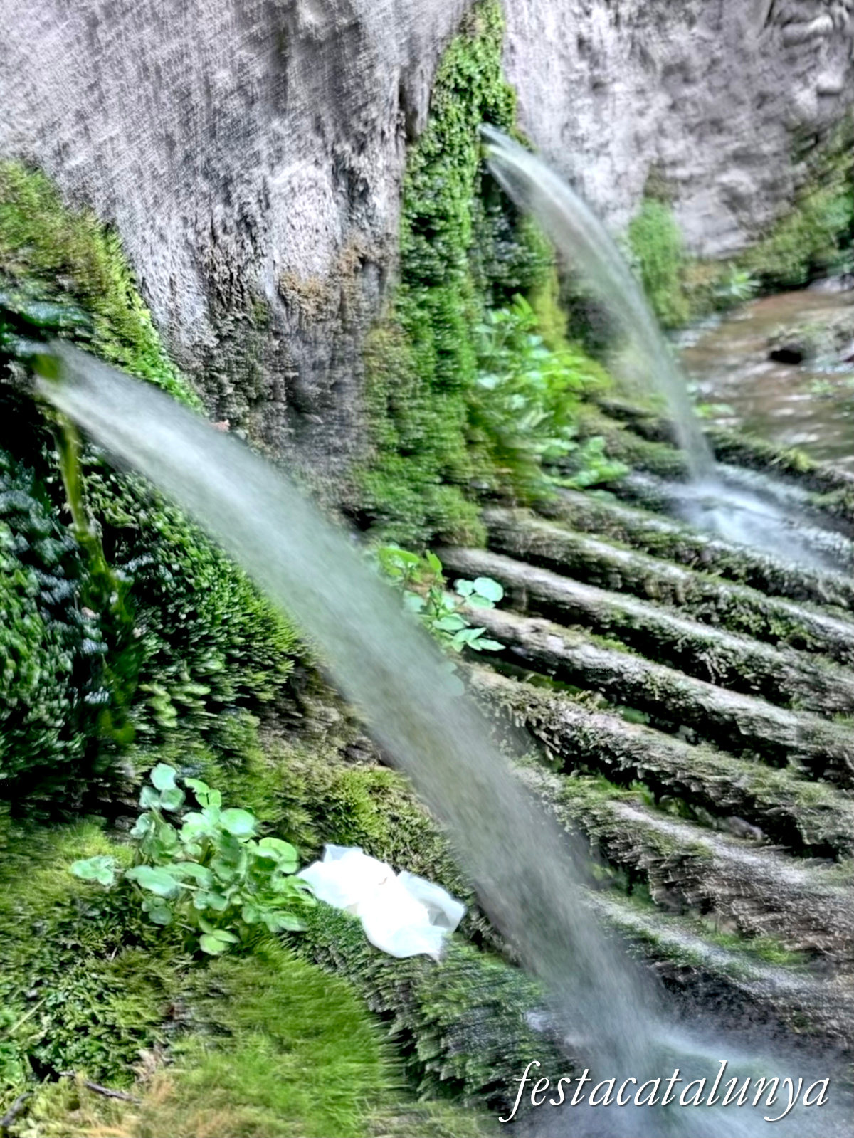 Sant Joan de les Abadesses - Jardins de la Puda, Font d'en Roca i antics safareigs 