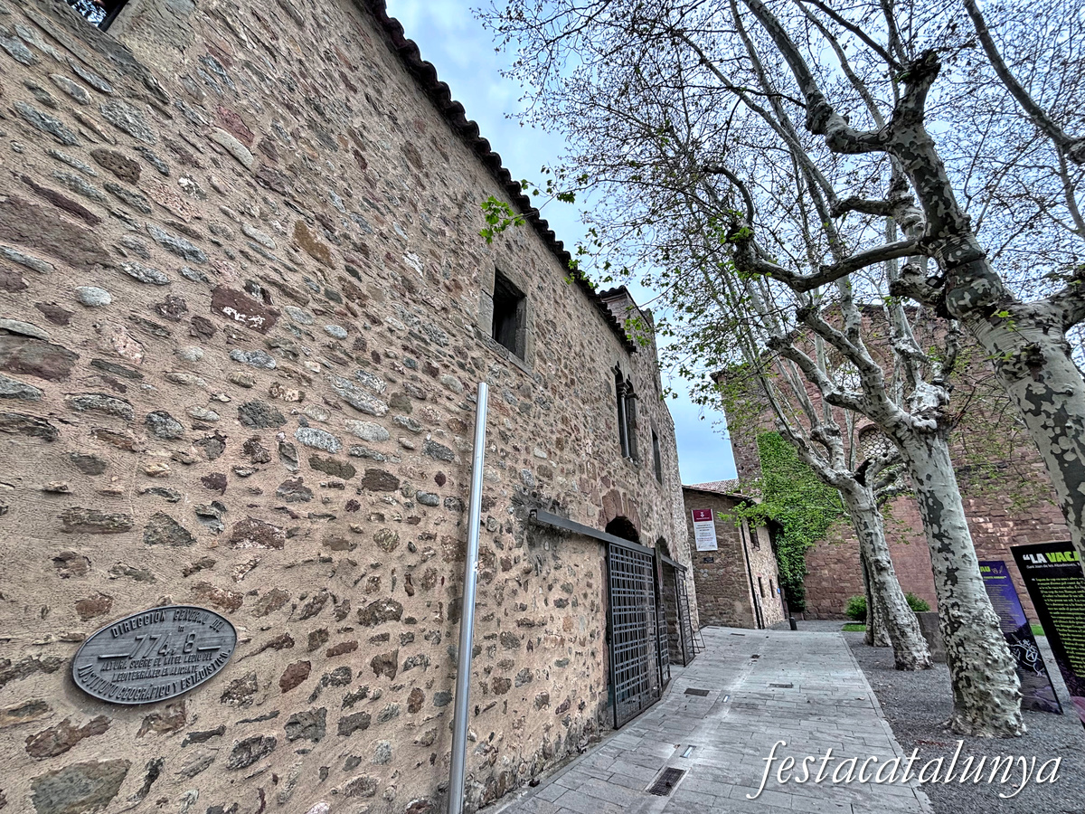 Sant Joan de les Abadesses - Palau abacial 