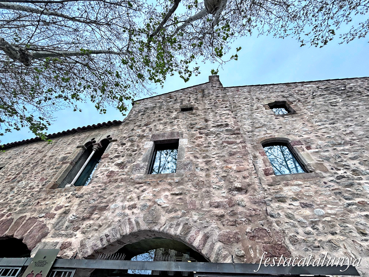 Sant Joan de les Abadesses - Palau abacial 