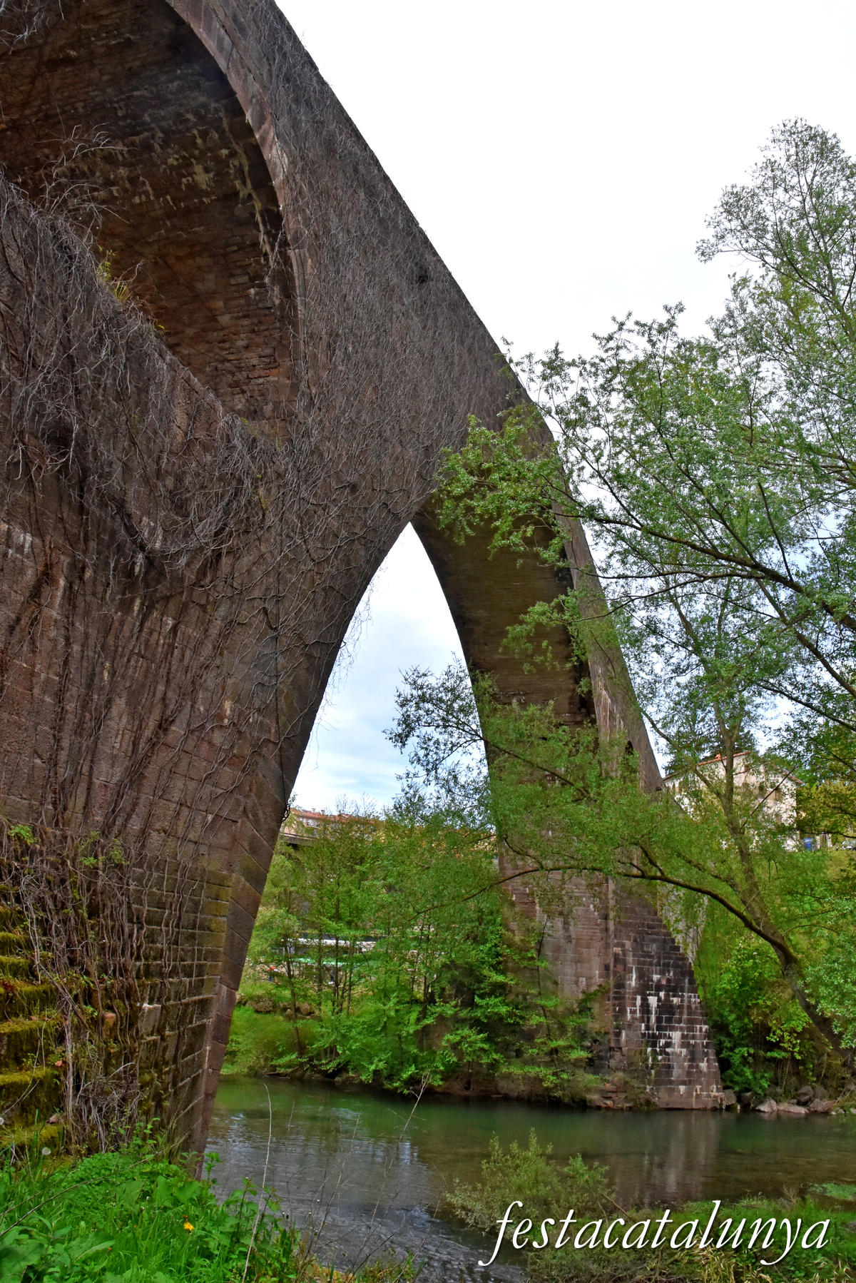 Sant Joan de les Abadesses - Pont Vell