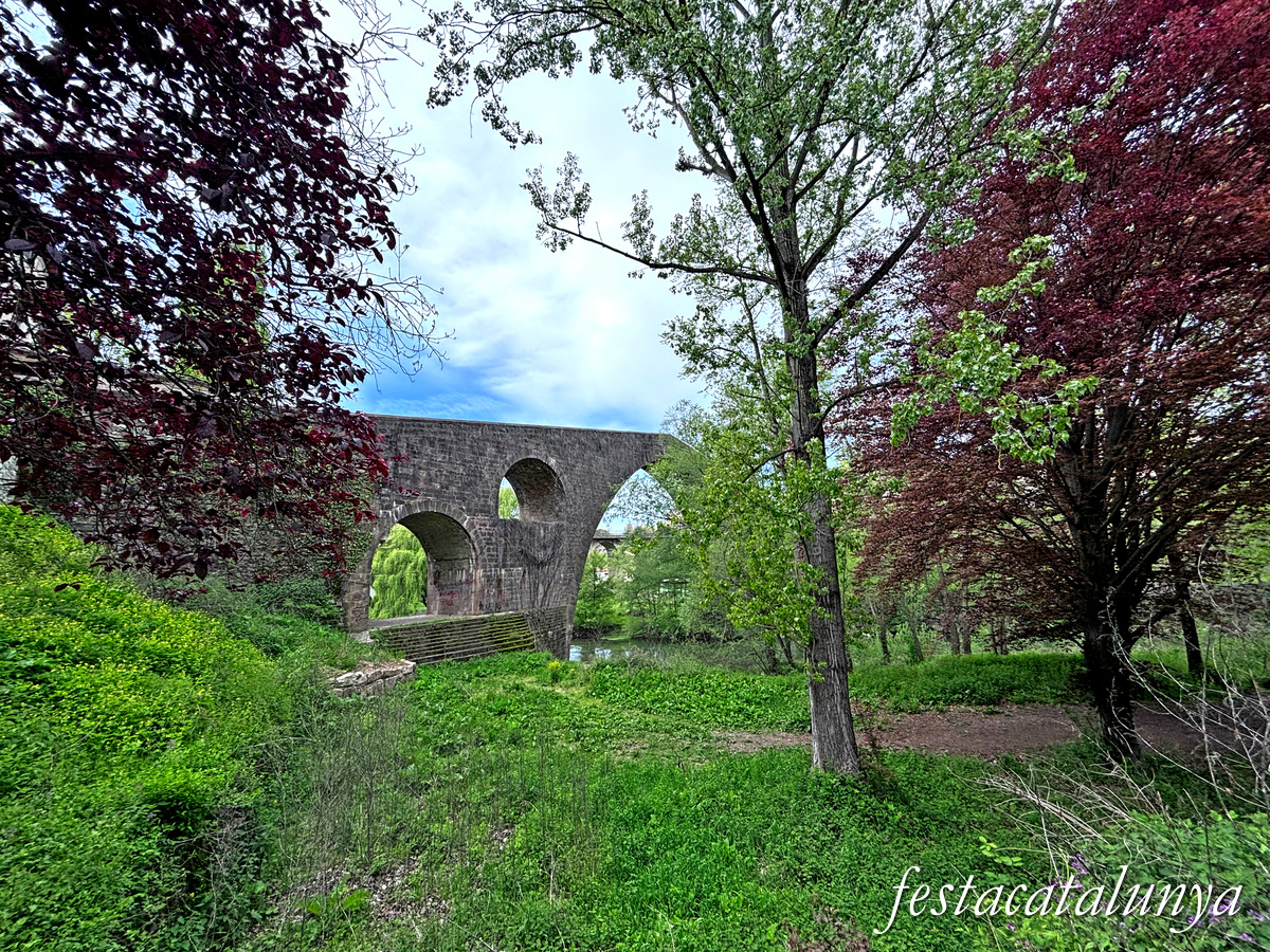 Sant Joan de les Abadesses - Pont Vell 