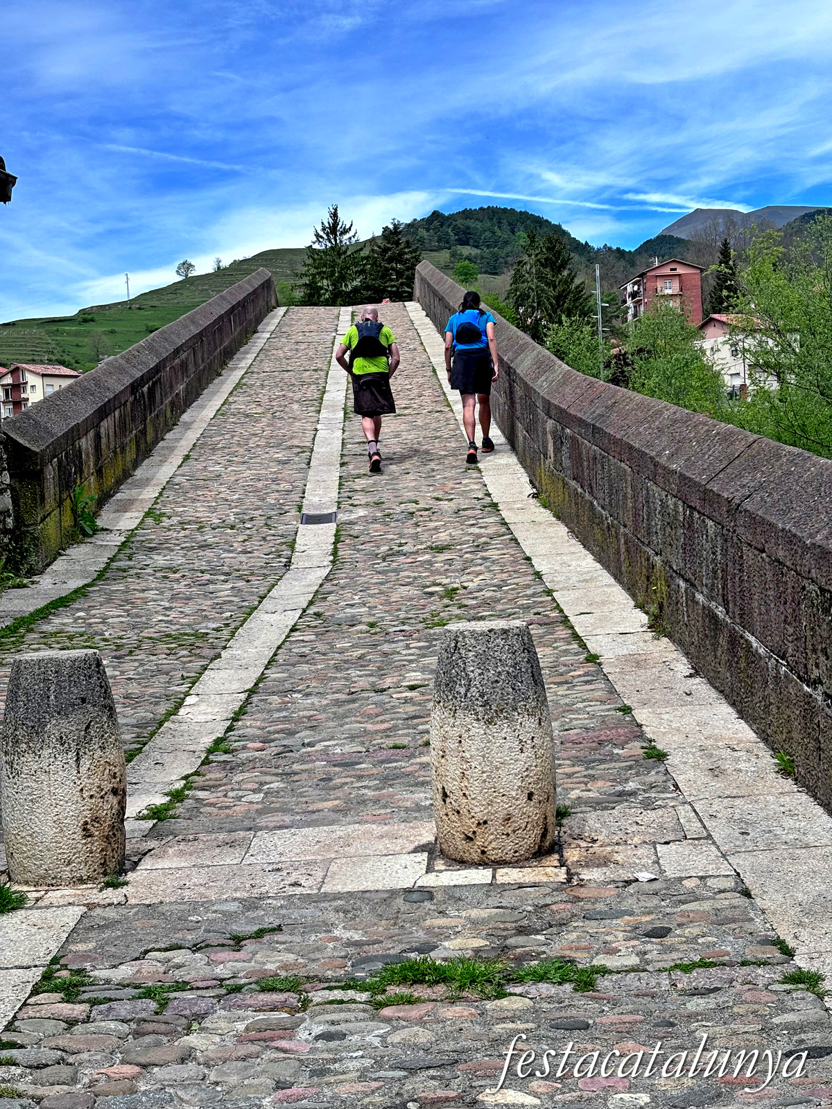 Sant Joan de les Abadesses - Pont Vell
